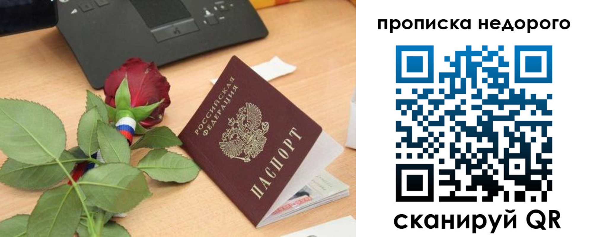 прописка поиск в Сочи